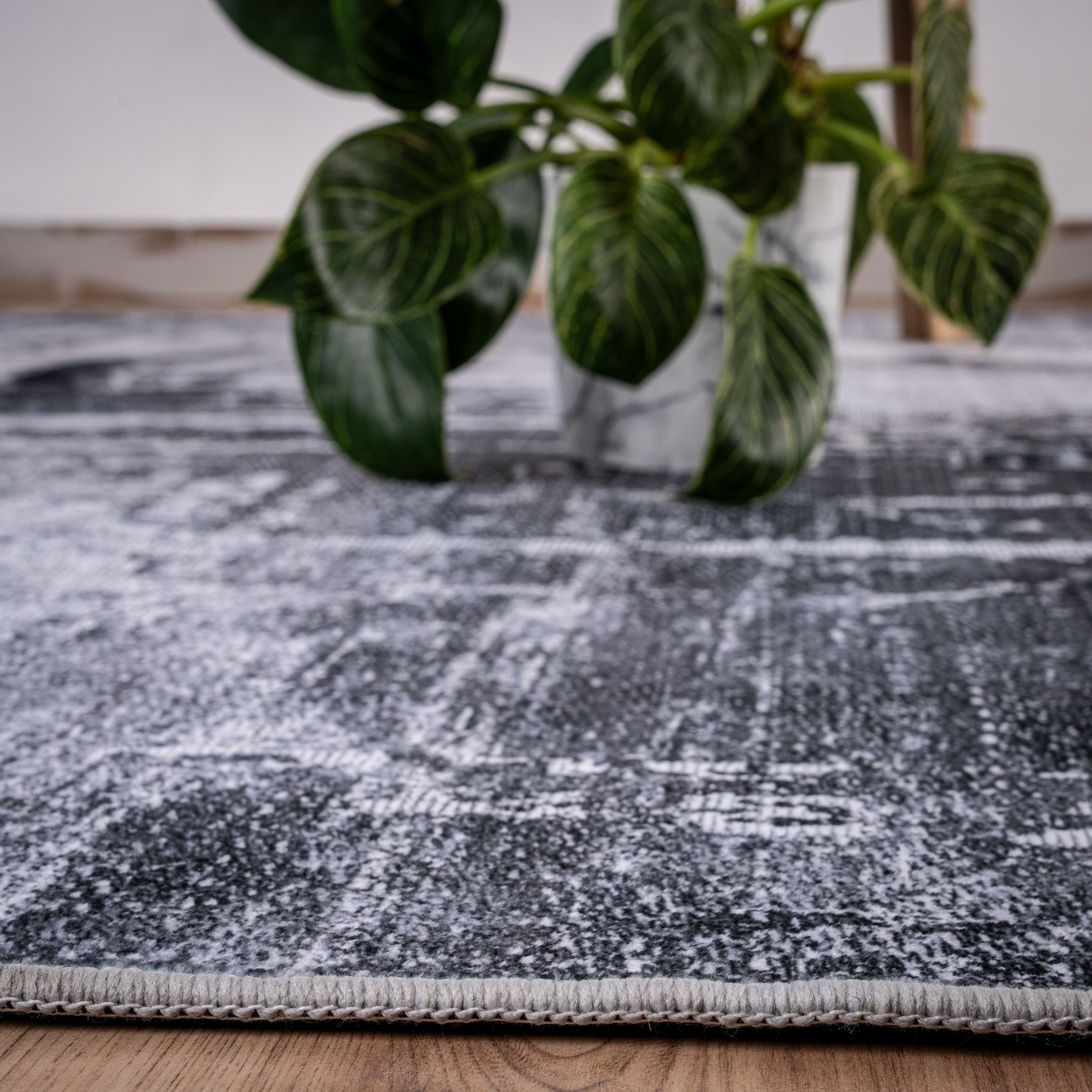 My Tampa 131 grey carpet: Stylish design, practical functionality for your home