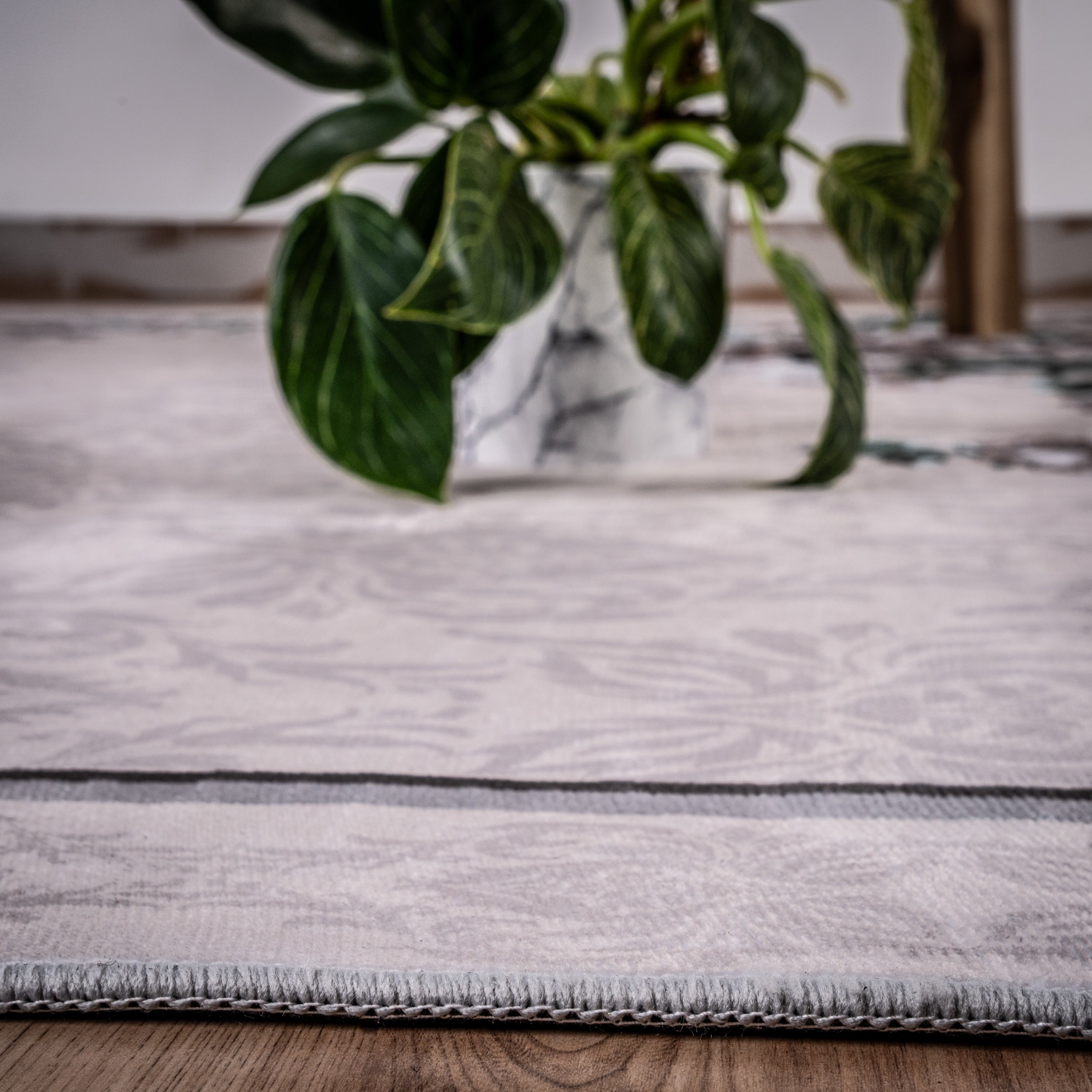 My Tampa 133 cream carpet: Stylish design, practical functionality for your home