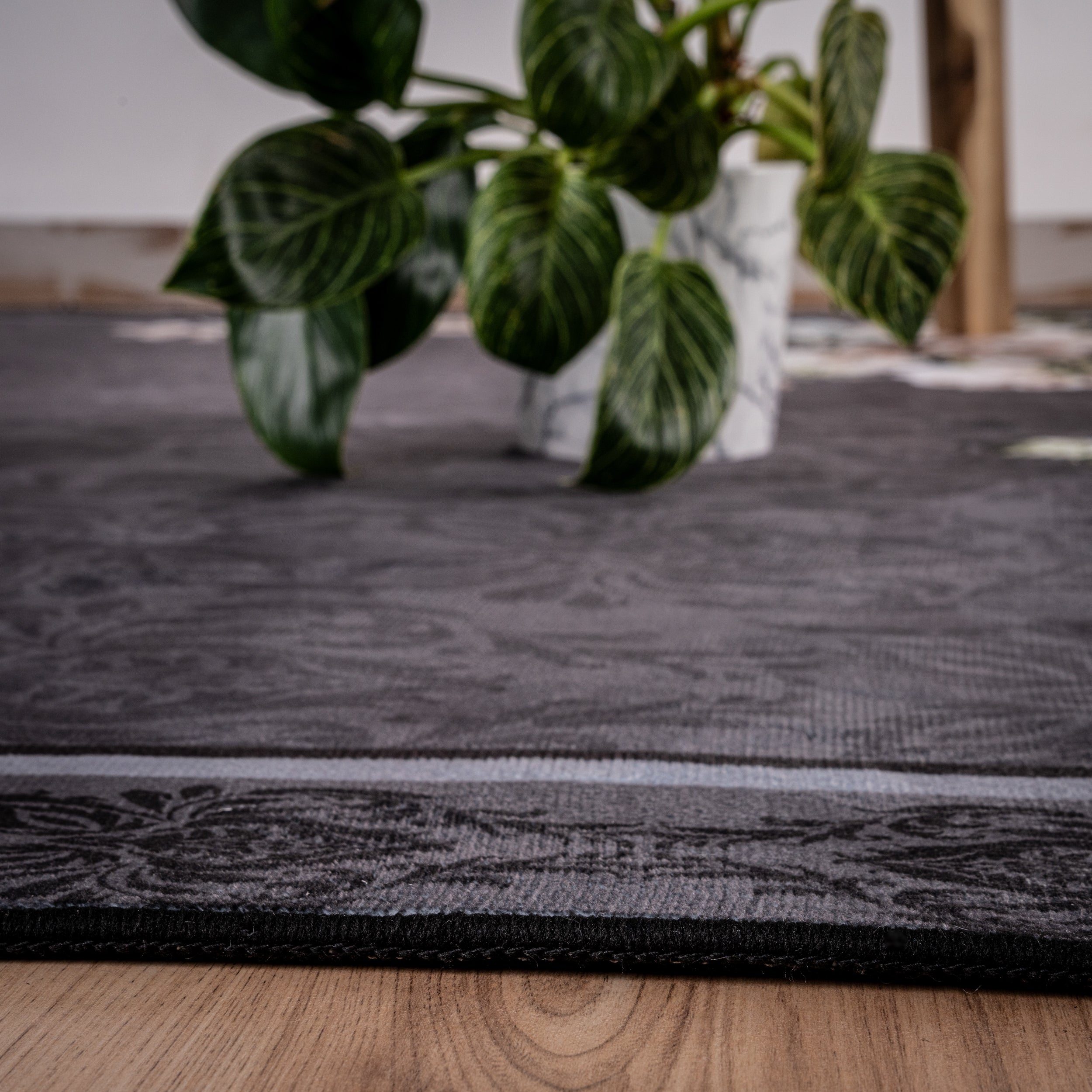 My Tampa 133 grey carpet: Stylish design, practical functionality for your home