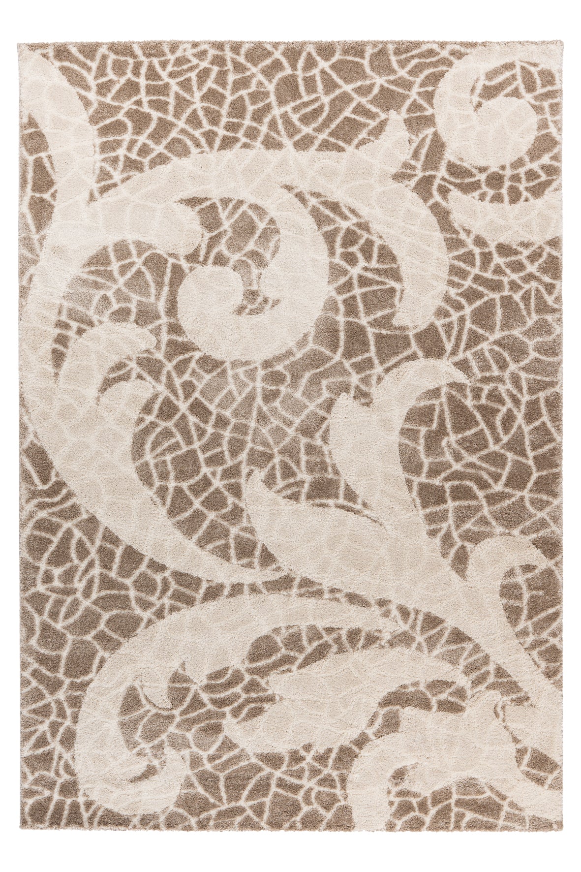 My Frisco 280 taupe carpet: Handwoven charm for your home